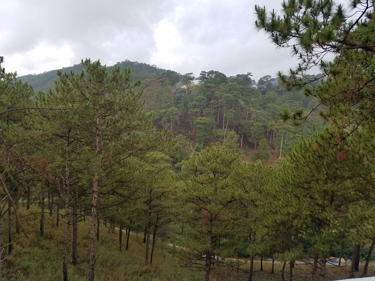 Lam Phan Hotel Villa Da Lat Kültér fotó